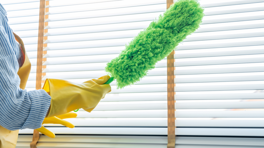 Young,Female,Spring,Cleaning,House,Interior,Holding,A,Duster,For