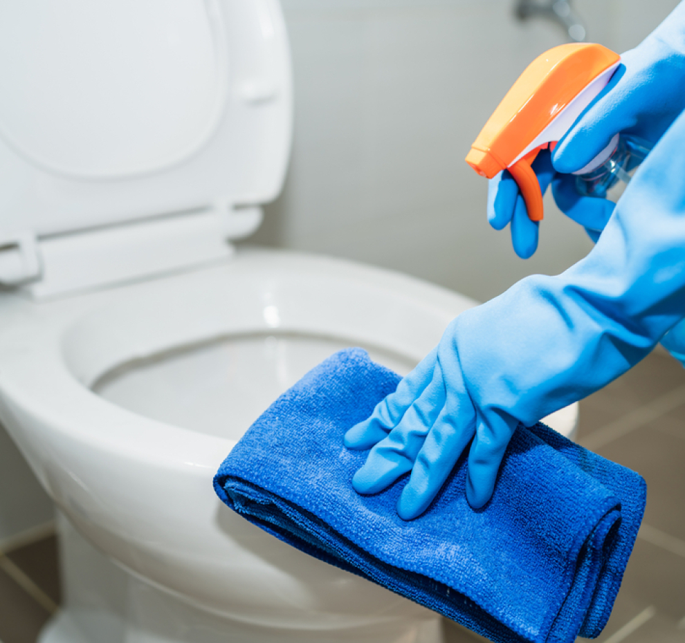 How to clean a toilet using citric acid Queen of Clean